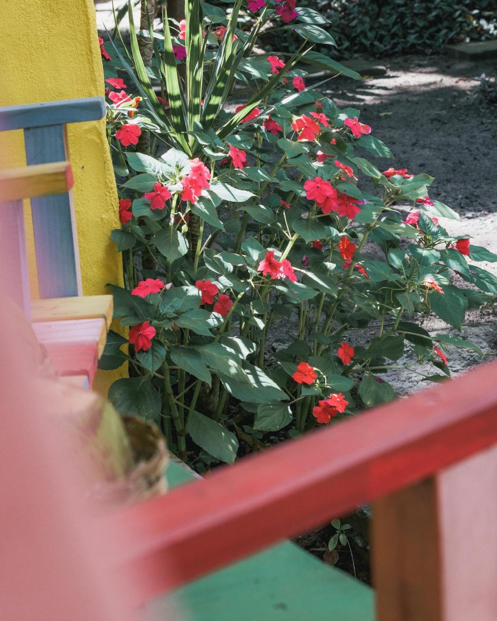 Butterfly House Bahia Hotell Marau  Eksteriør bilde