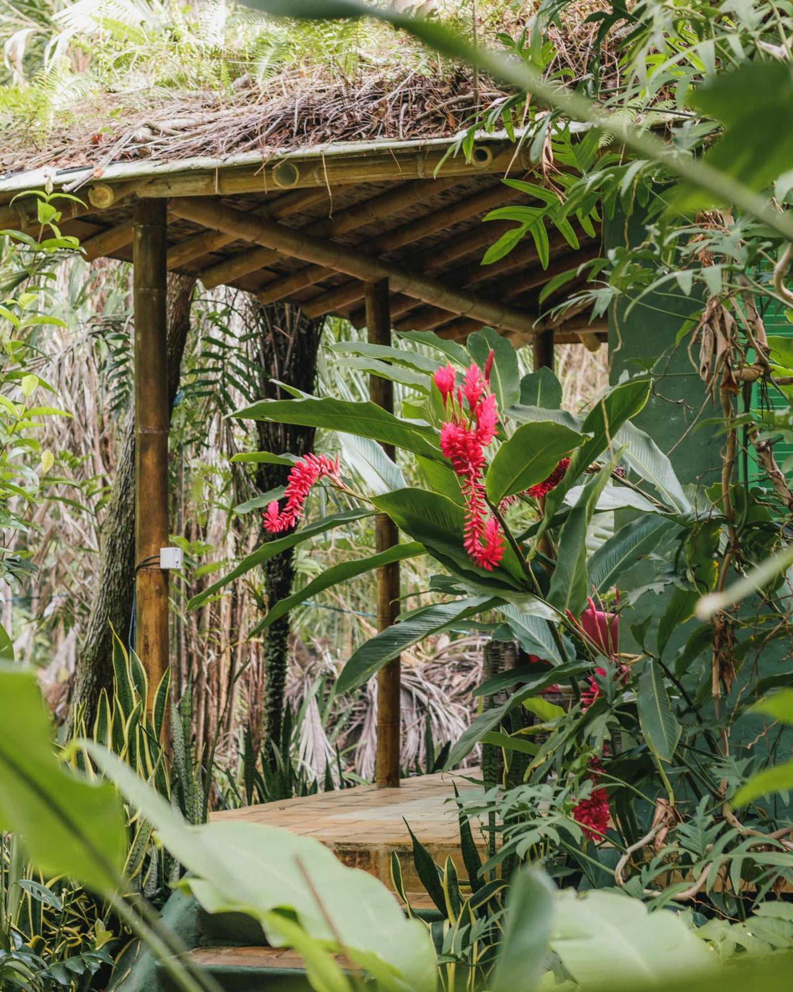 Butterfly House Bahia Hotell Marau  Eksteriør bilde